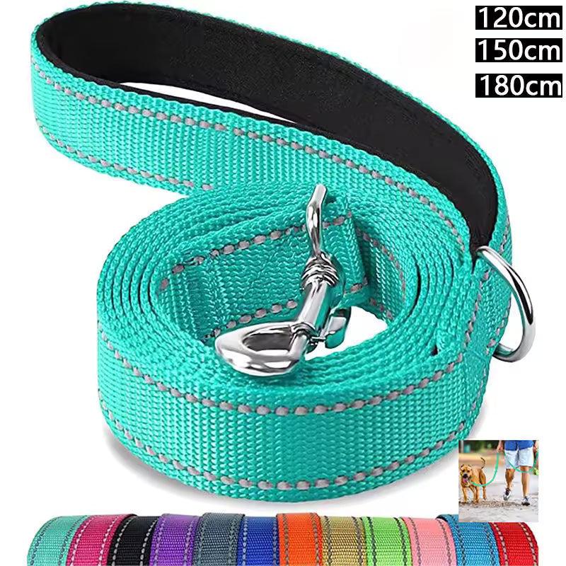 Harness Collar Lead