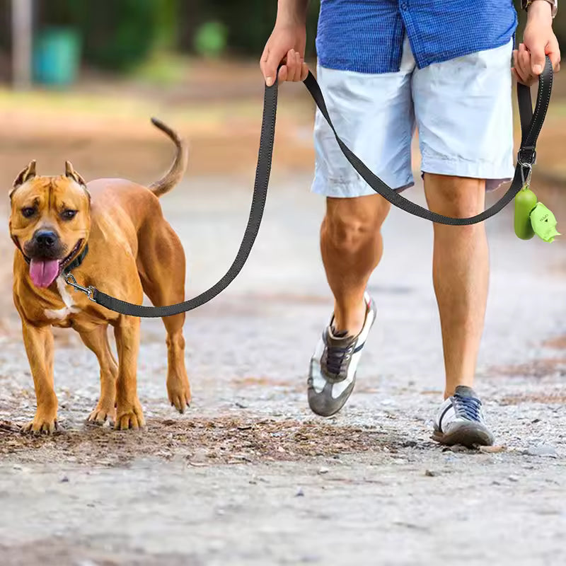 Harness Collar Lead