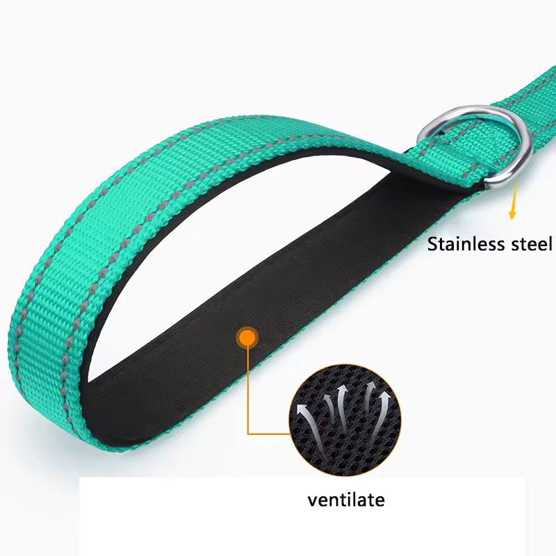 Harness Collar Lead