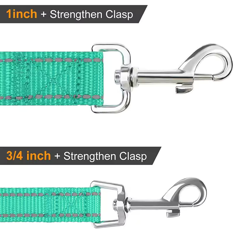 Harness Collar Lead